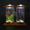 Decorative Bamboo & Double Glass Ecological - Mini Fish Aquarium