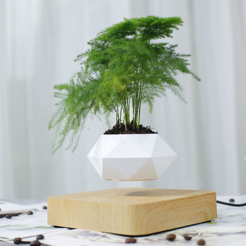 Magnetic Levitation Polygonal Wood Grain Potted Plant - Living - Magnetic Hanging Plant - Wooden Decoration - Wooden Decorative