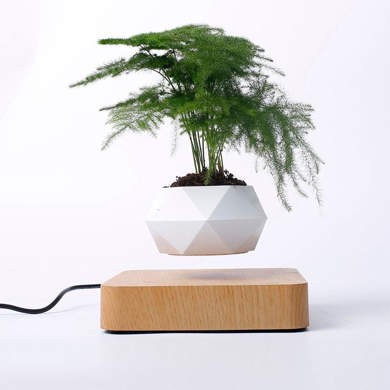 Magnetic Levitation Wood + Polygonal Potted Plant