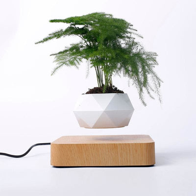 Magnetic Levitation Polygonal Wood Grain Potted Plant - Living - Magnetic Hanging Plant - Wooden Decoration - Wooden Decorative