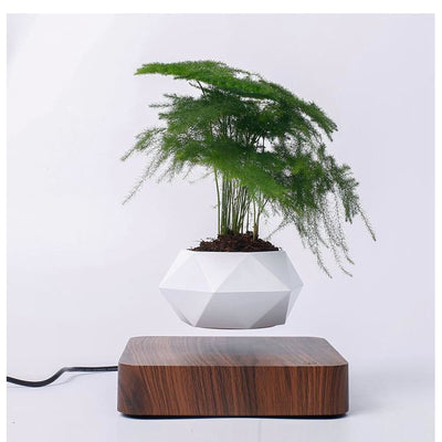 Magnetic Levitation Polygonal Wood Grain Potted Plant - Living - Magnetic Hanging Plant - Wooden Decoration - Wooden Decorative